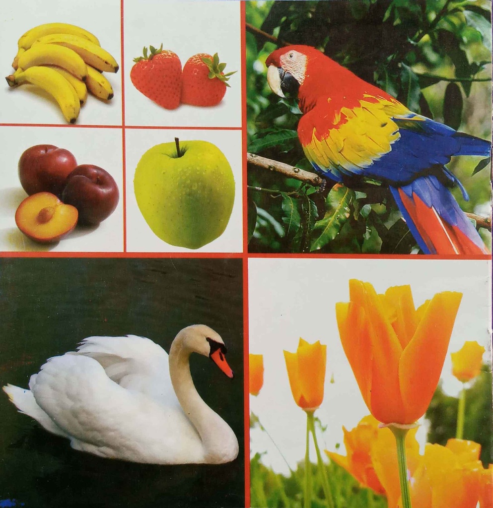 Meray Itnay Sary Rang (Class1) Pb 2013