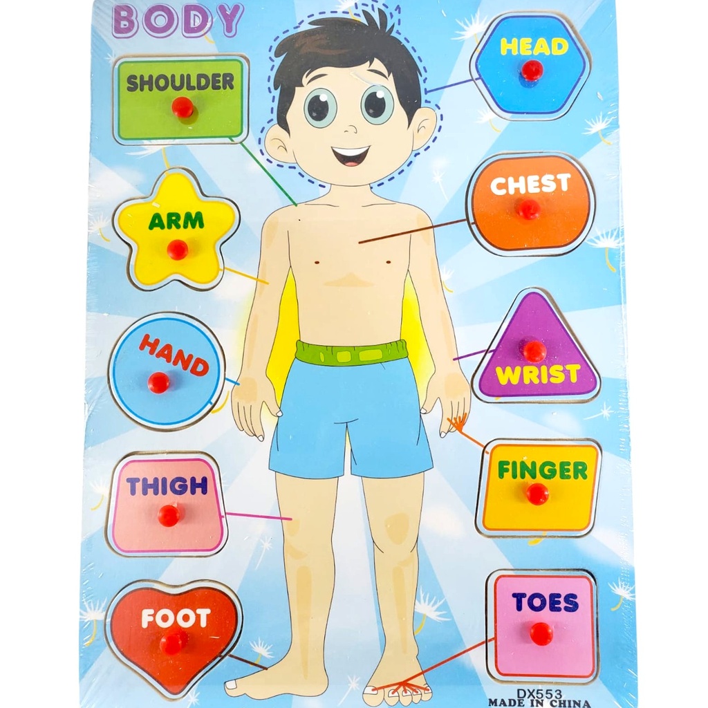 Wooden Part of Body Plate Toy With Knob - No. DX553