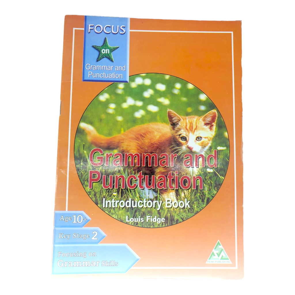 Focus On Grammar & Punctuation - Introductory Book