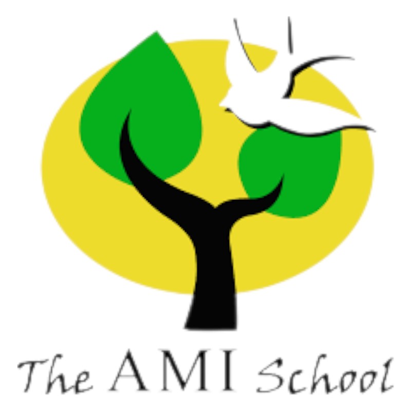 AMI School Class 10 Copies Set - Green Title