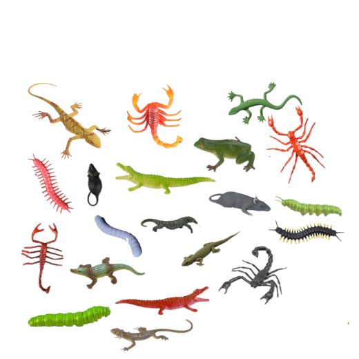 Discover The Species Bag 2326