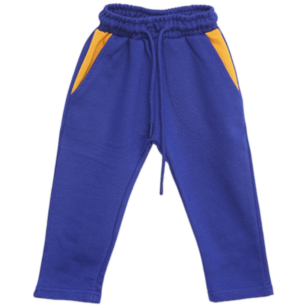 [338312345] BSS Boys Blue Shorts Regular | Pre Nursery - Class 2 (3 - 4 Years)