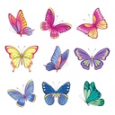 Butterfly Assorted Coloured A01134/01144/20155