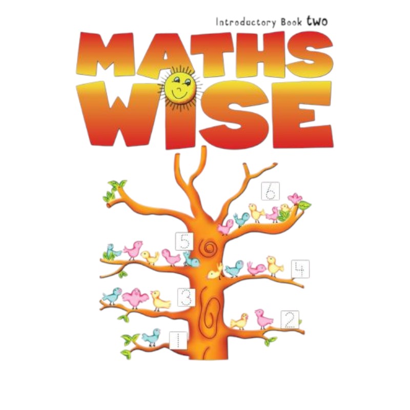 Maths Wise Introductory Book 2