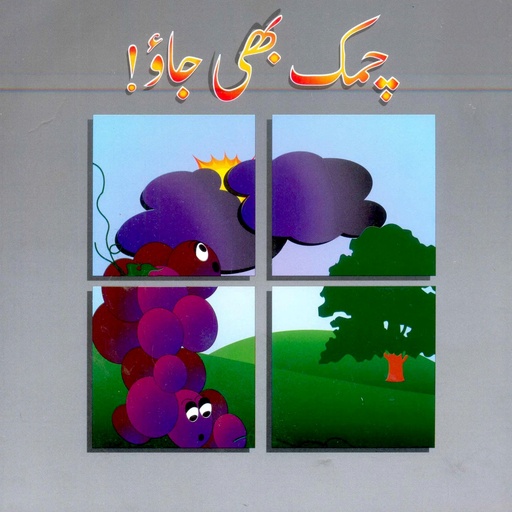 [9789695500521] Chamak Bhi Jao! (Class4) Pb 2017