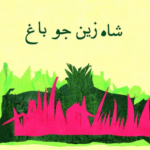 [9789695501757] Shah Zain Ka Bagh (Class5) Pb 2017