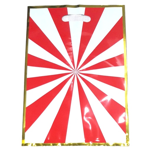 Goody Bag  - Assorted Color