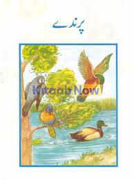 [9789694947051] BSS Reader: Parinday