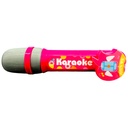 Karaoke Micro Phone Fun Playing - 12 Songs - 298-2