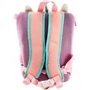 Frozen Trolley Bag - Pink - 13 Inch | Play Group - Kindergarten