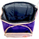 Frozen Trolley Bag - Pink - 13 Inch | Play Group - Kindergarten