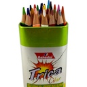 Bahadur Trica Color Pencils – Pack of 24 Colors