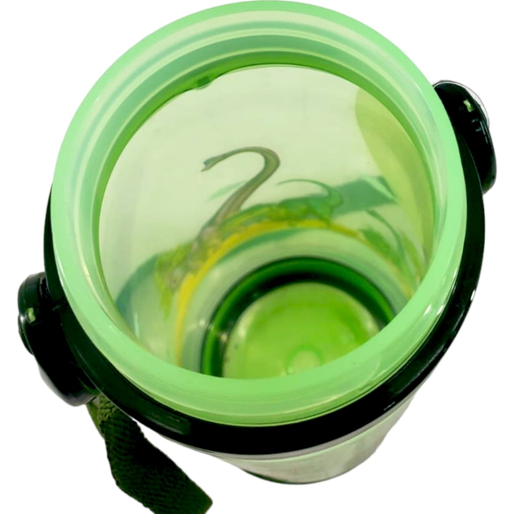 Animals Plastic Water Bottle 600ml - Green - Bright Active Star