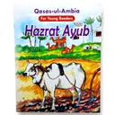 Qasas ul Ambia In English