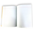 Single Line English Margin Copy - 160 Pages - The Educators
