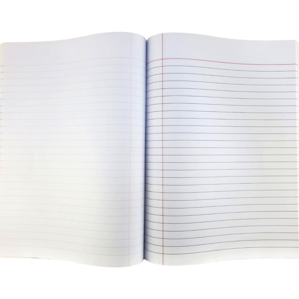 Single Line Inter Leaf Journal - EB10 - Bss