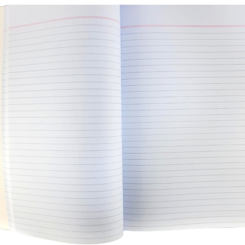 Single Line Register - 200 Pages - Meritorious School