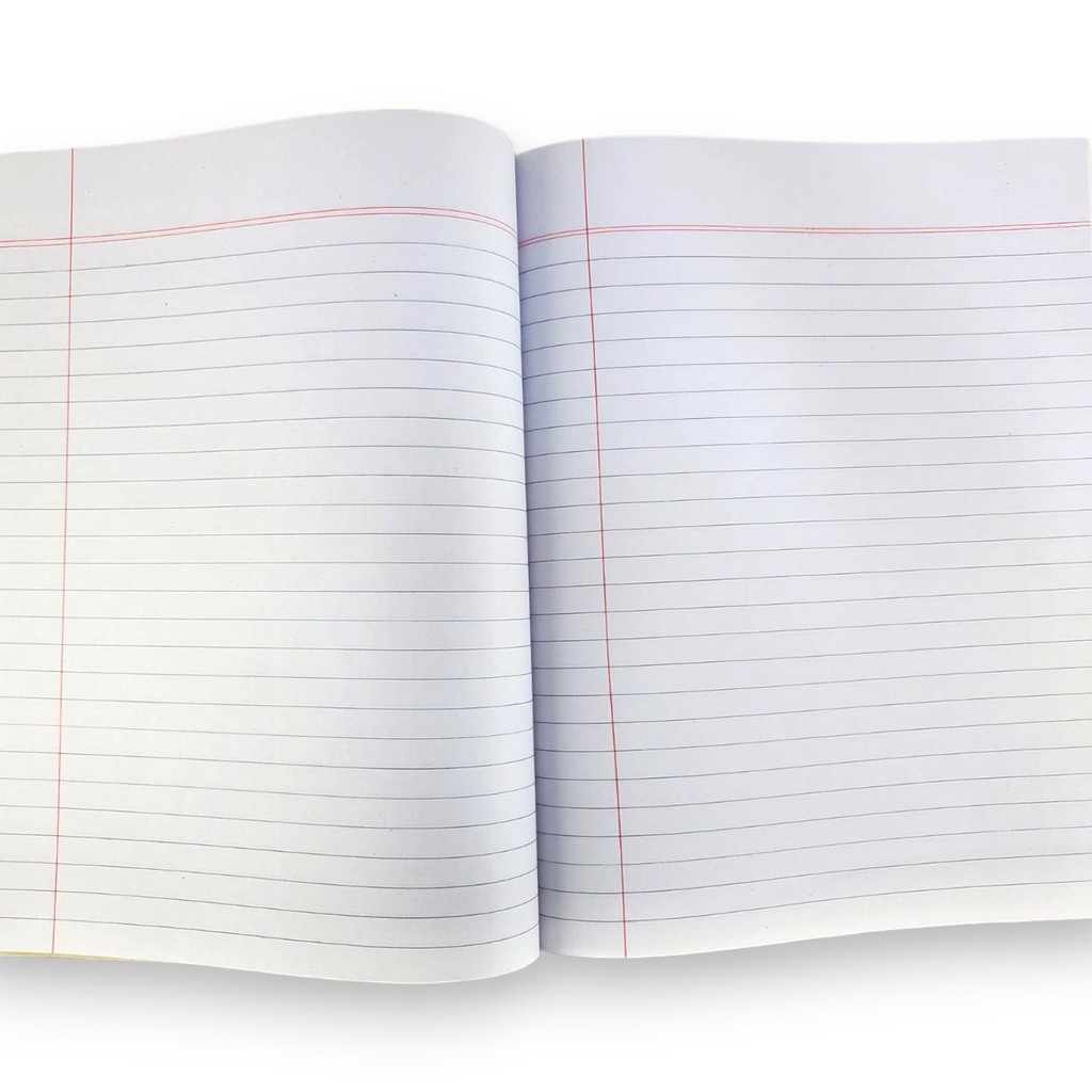 Single Line E/M Copy - 160 Pages - Alpha Core School