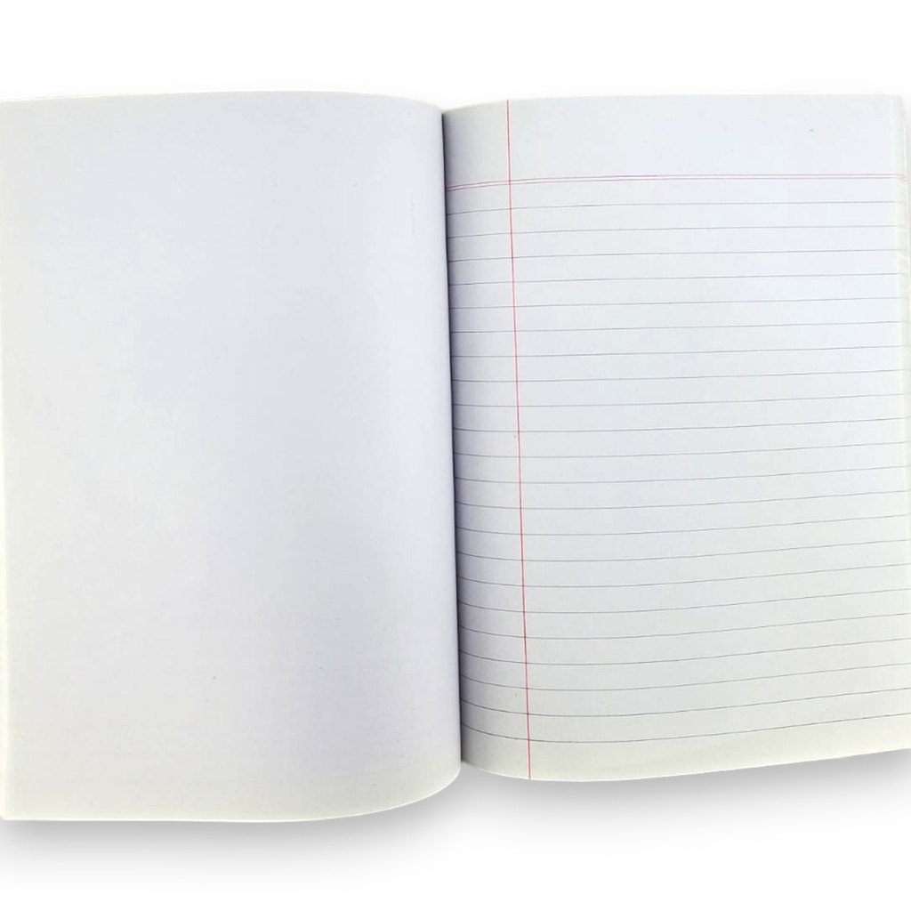 Single Line E/M R/P Copy - 160 Pages - D.M.S