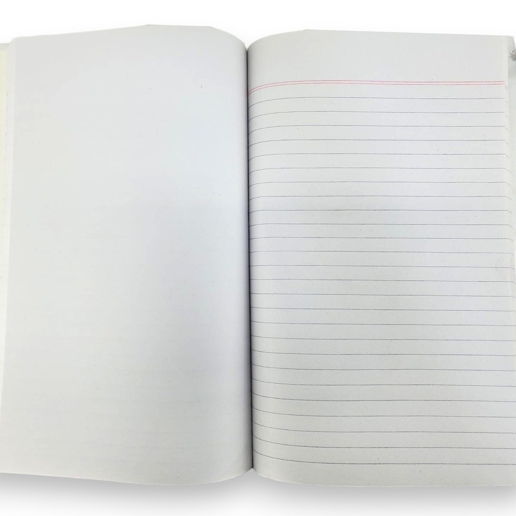 Single Line R/P Register - 200 Pages - D.M.S