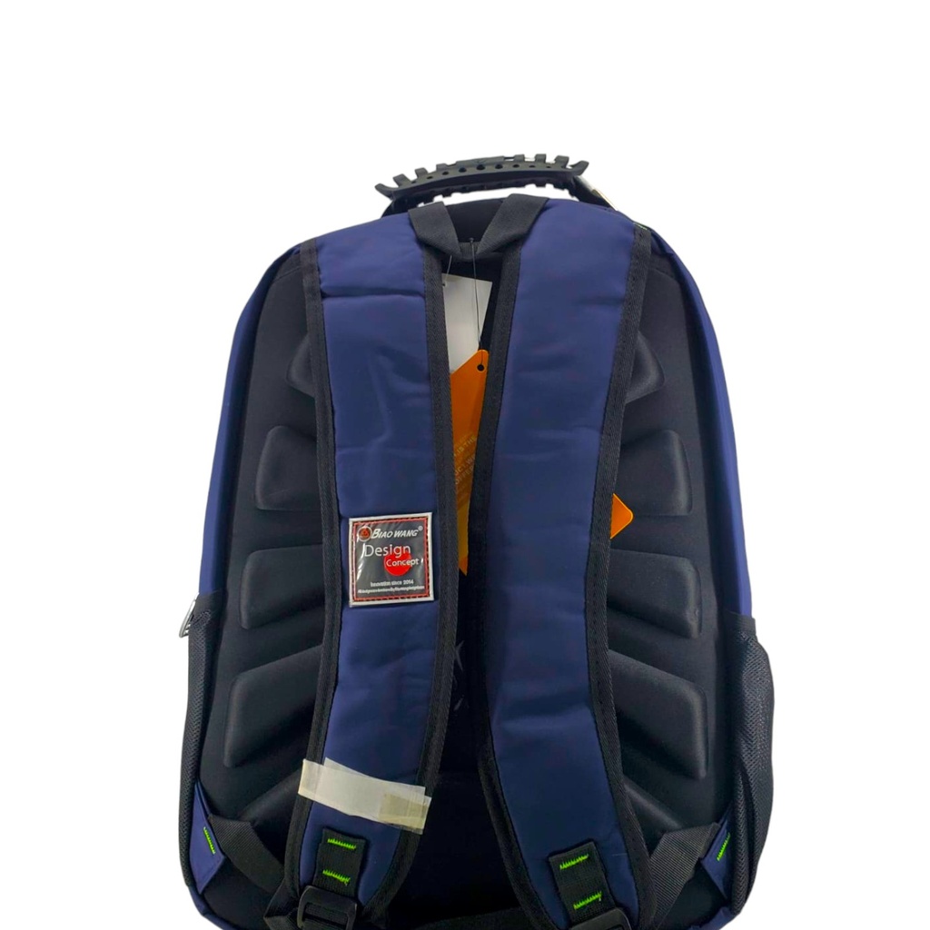 Biaowang School Bag - Blue