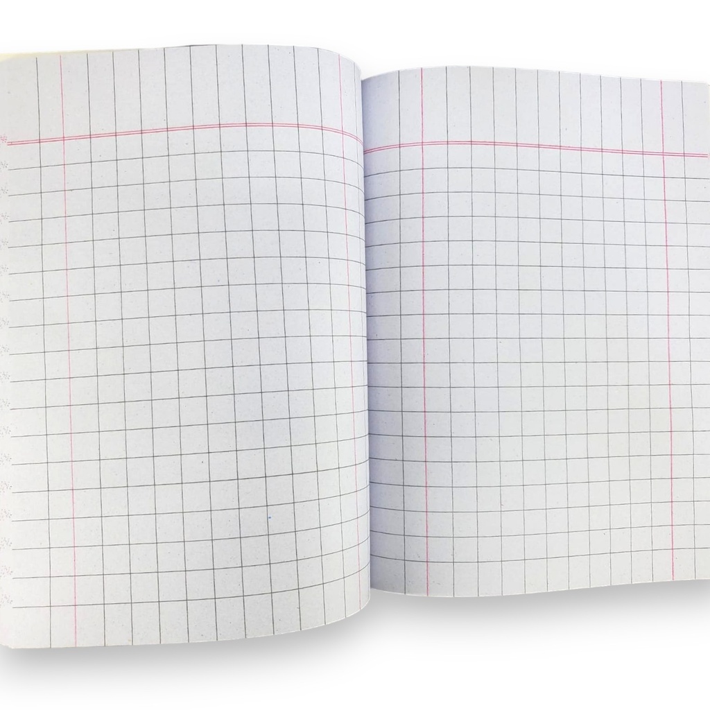 APS # 4 Junior Maths