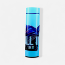 Stainless Steel Temperature Water Bottle
