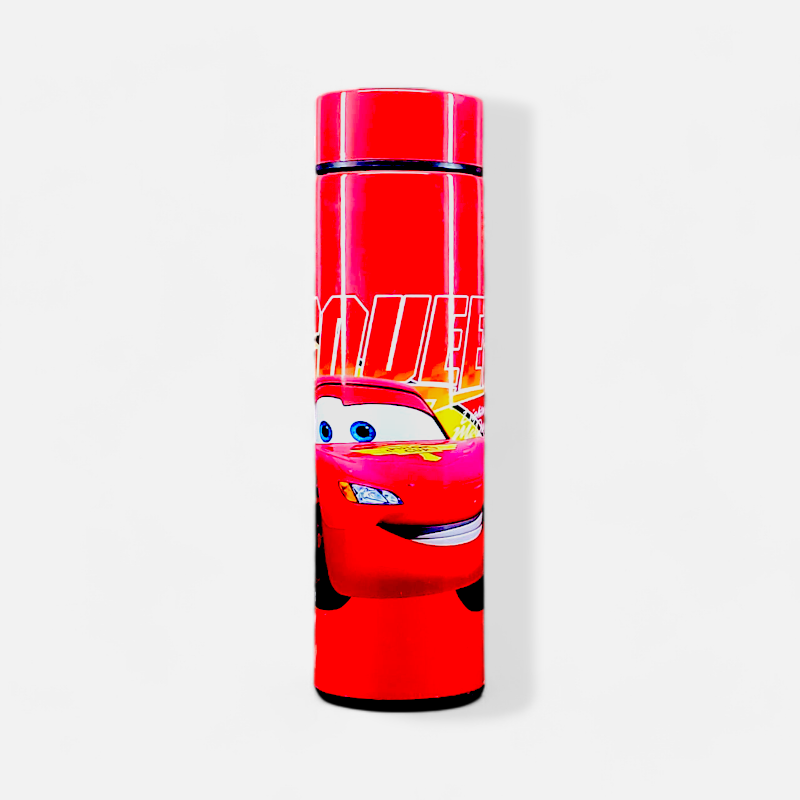 Stainless Steel Temperature Water Bottle