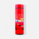 Stainless Steel Temperature Water Bottle