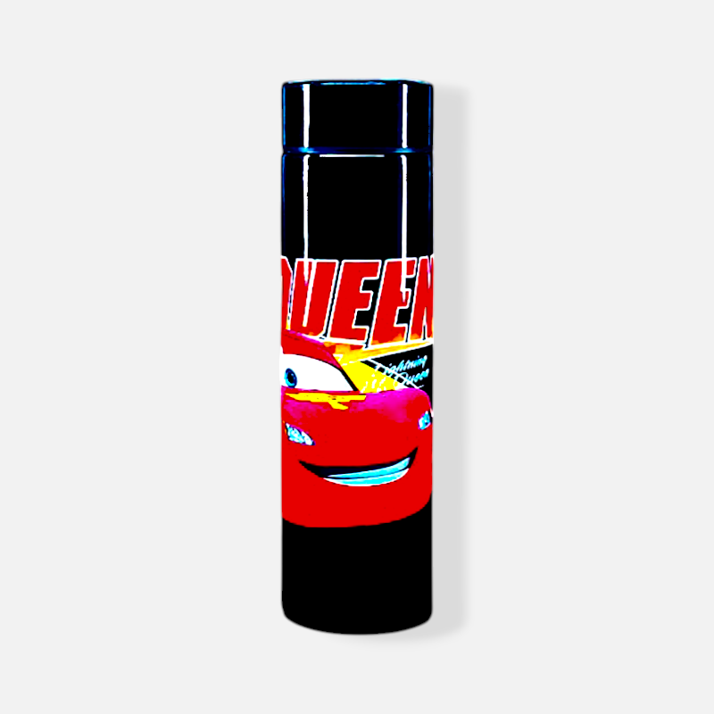 Stainless Steel Temperature Water Bottle