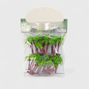 Coconut Tree Small with Fruit (Pack Of 18) - No. (TMTR21)
