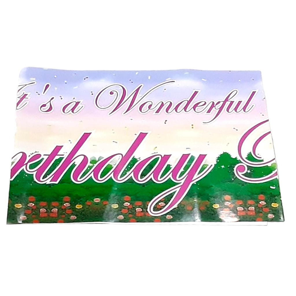 Plain Plastic Table Cover - Princess