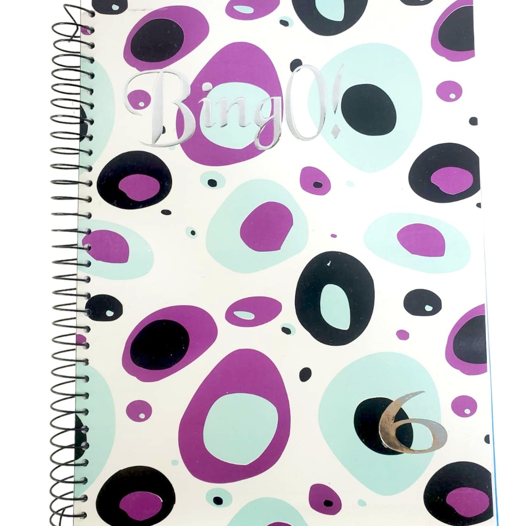 BingO A4 Size 6 in 1 Spiral Notebook 360 Pages