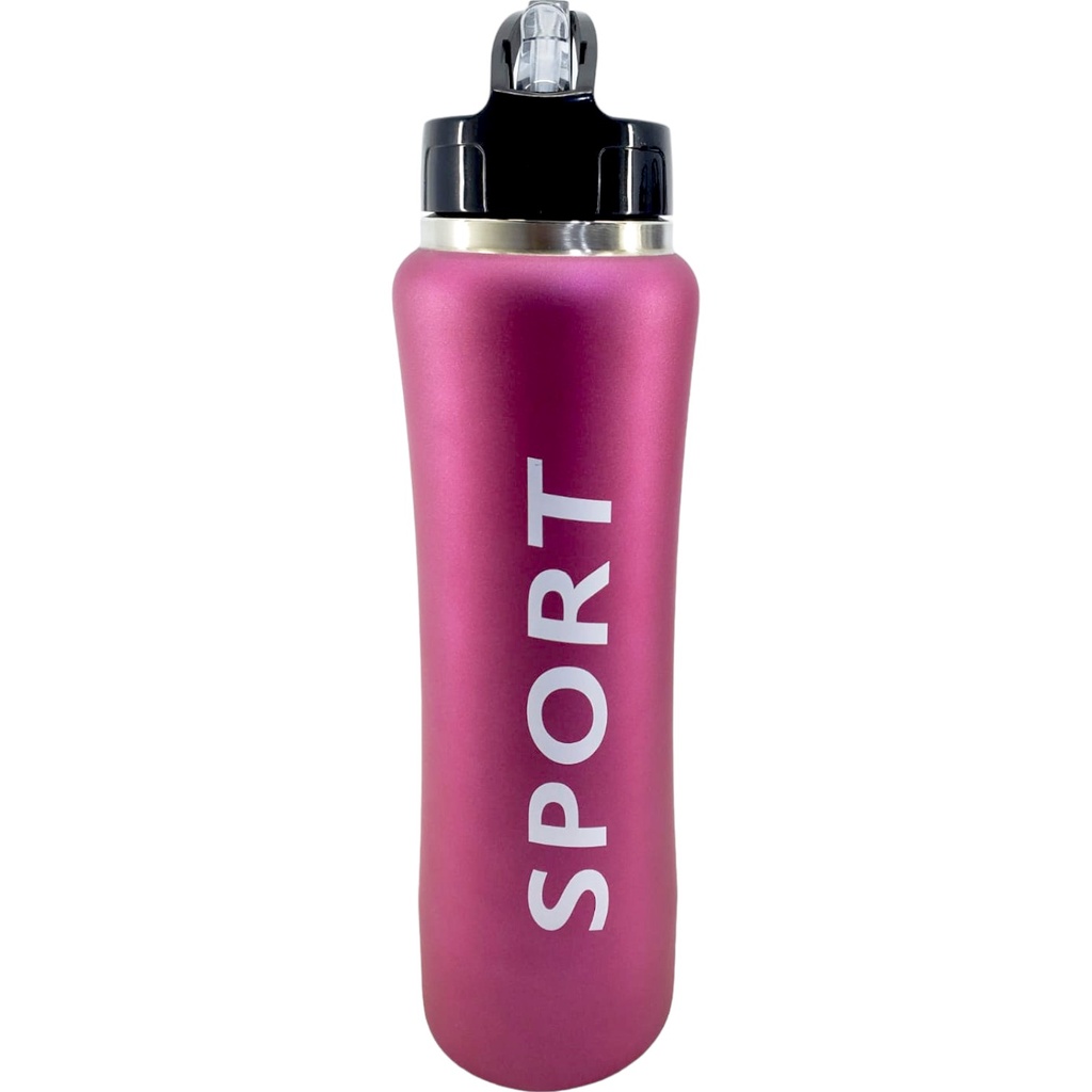 Stainless SteelcSports Water Bottle - 750 ml - Purple - No. 8310