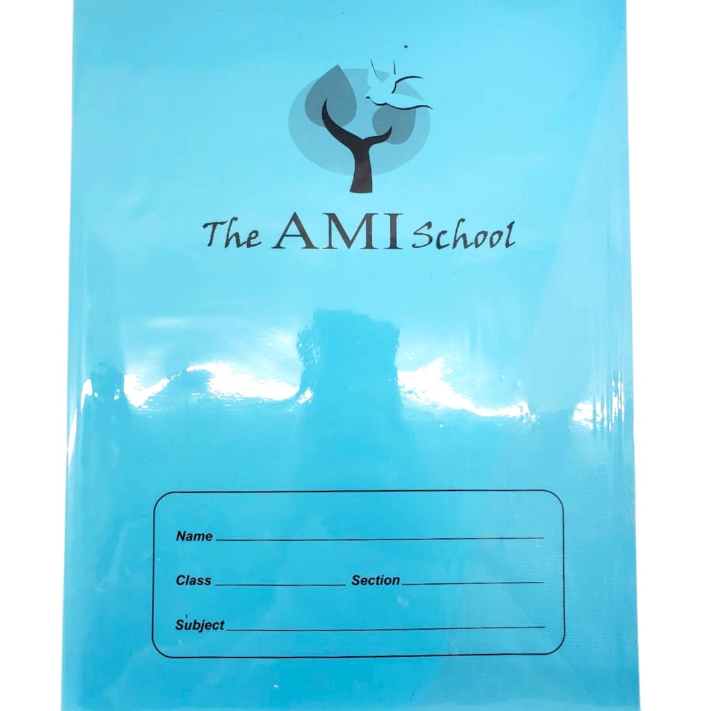 Spell Drill Book  - The AMI School