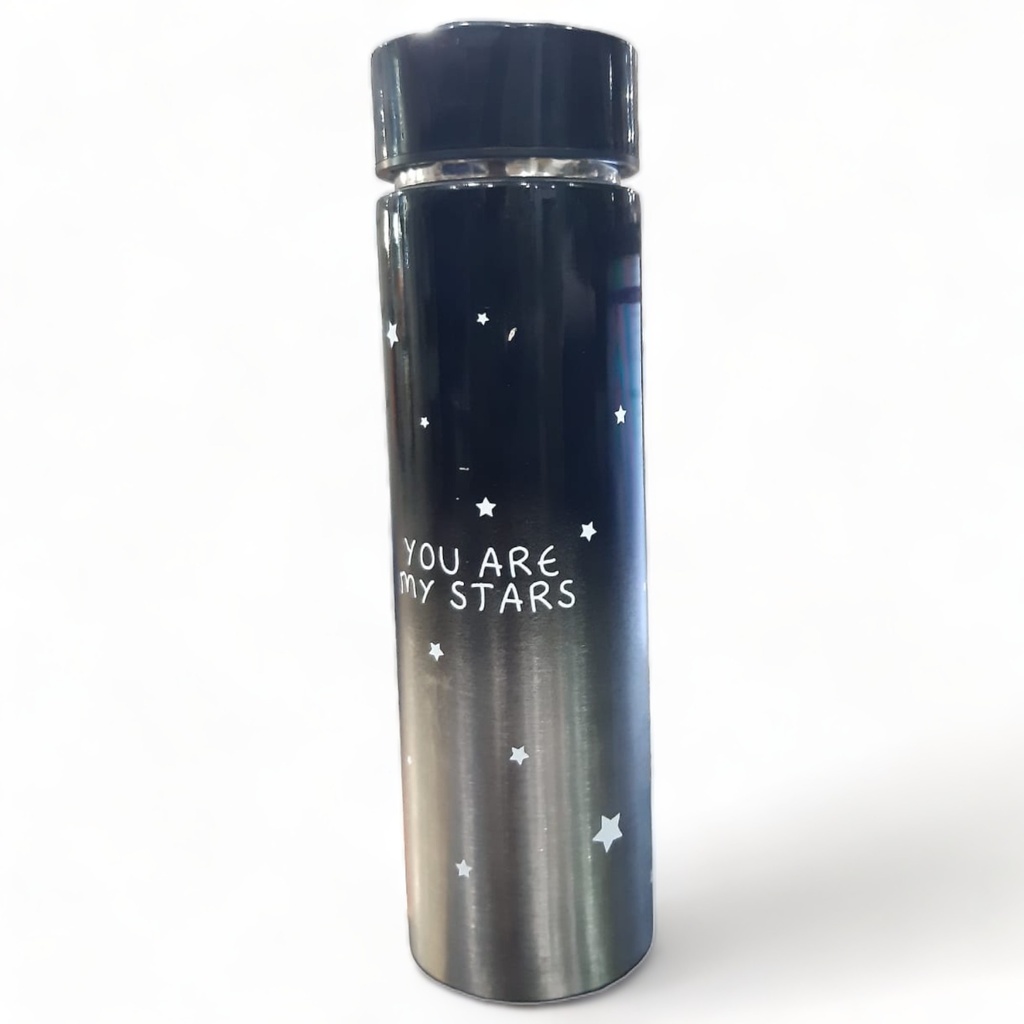 Temperature Stainless Steel Water Bottle