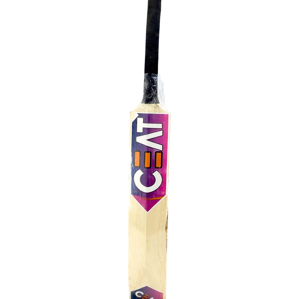 Cricket Bat With Bag