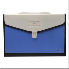 Expending  Legal Bag Assorted Colors