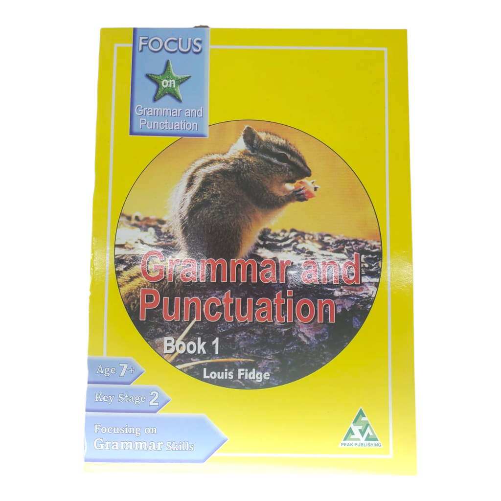 Focus On Grammar & Punctuation - Book 1