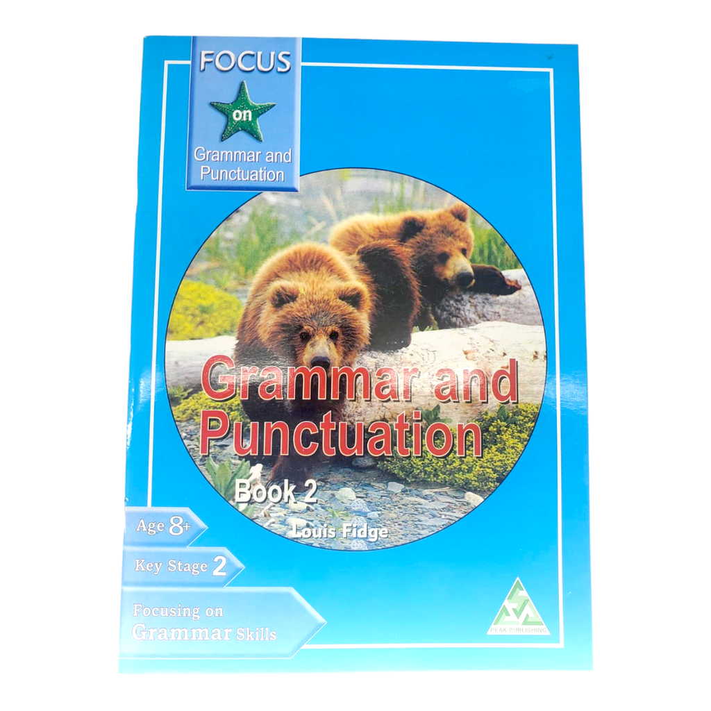 Focus On Grammar & Punctuation - Book 2