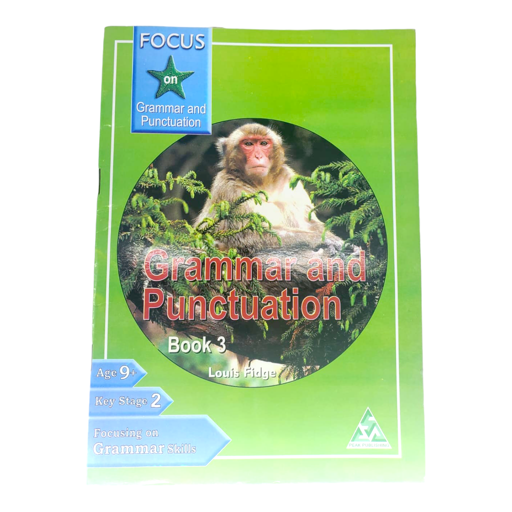 Focus On Grammar & Punctuation - Book 3