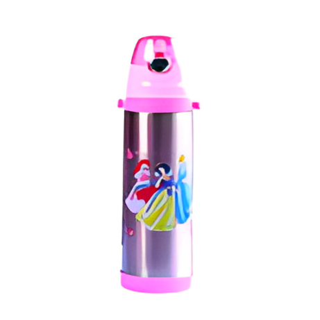 Assorted Character Stainless Steel Water Bottle - 500ml - No. D-24 / MD500