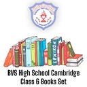BVS High School Cambridge Class 6 Books Set