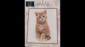 Bilee Sher Ki Khala