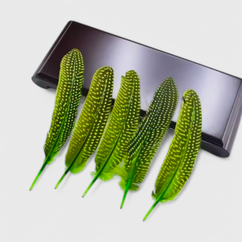 Feather Crafts Materials - Multi Colour YM-450