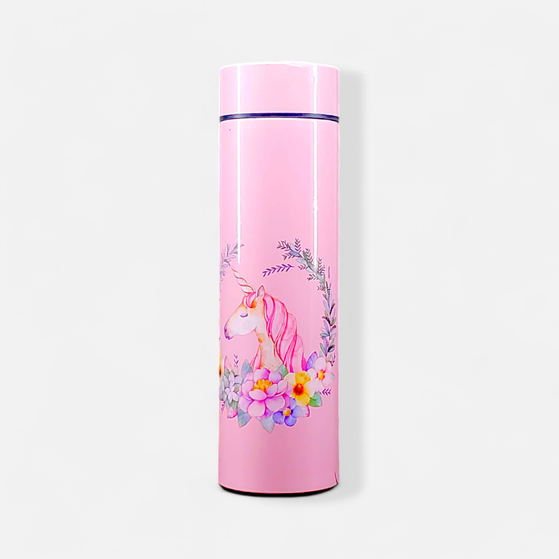 Stainless Steel Temperature Water Bottle