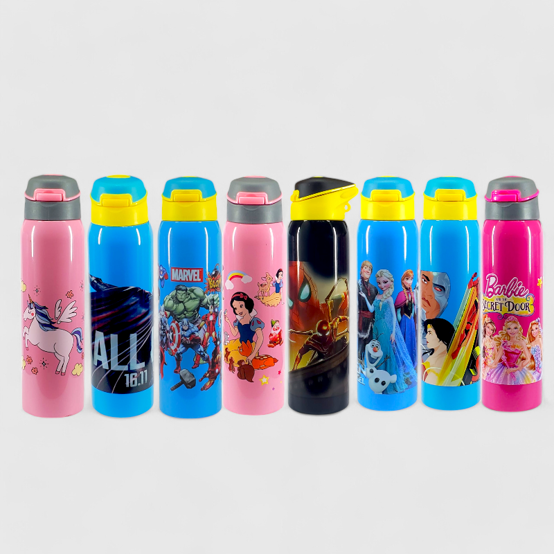 Stainless Steel Water Bottle - No. KK3 (MCqueen)