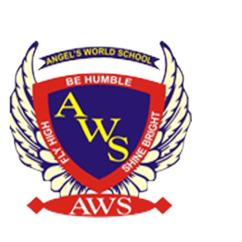 Angel World School Class 4 Book Set