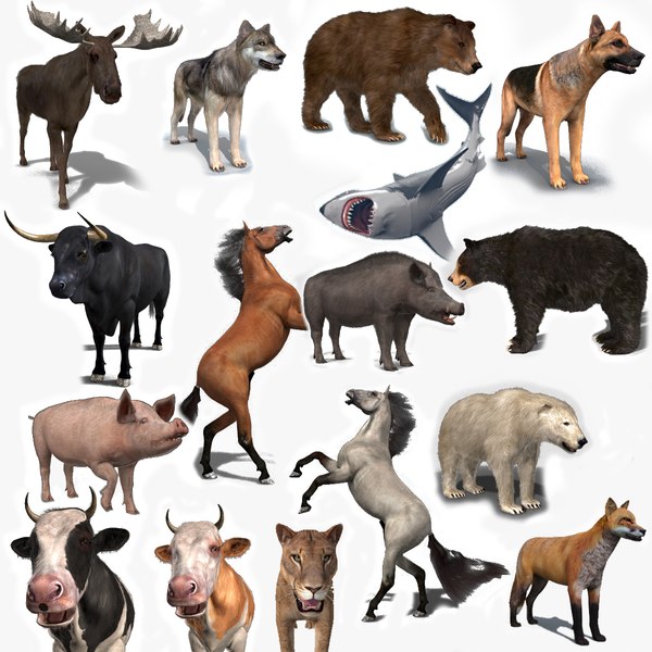 Animal Kingdom Pack 3D Series