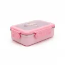 Lunch Box 029-13 / 6721